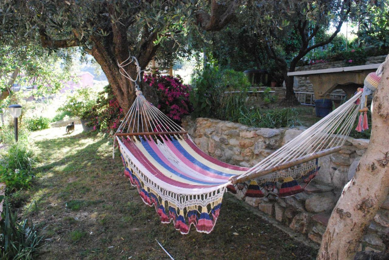 Casa Anna A Pietrasanta In Toscana Con Piscina Zewnętrze zdjęcie