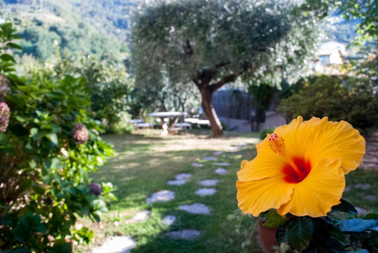 Casa Anna A Pietrasanta In Toscana Con Piscina Zewnętrze zdjęcie